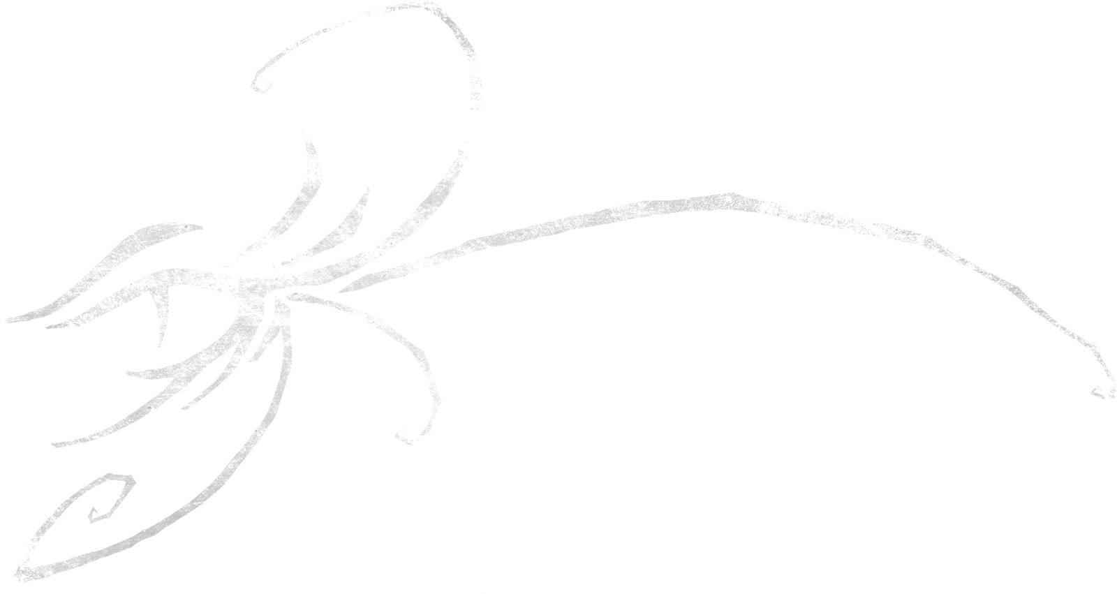 Jackal Gallery Logo